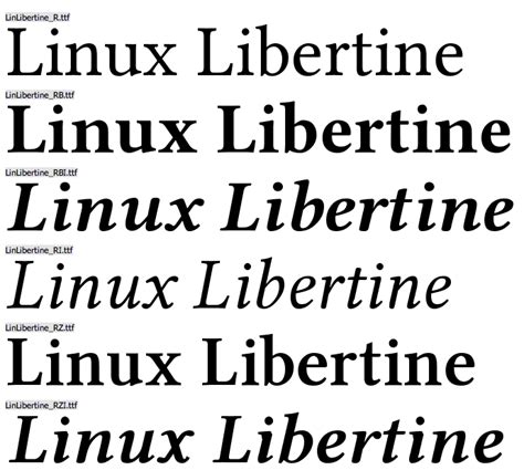 Libertines Eva2009, Font